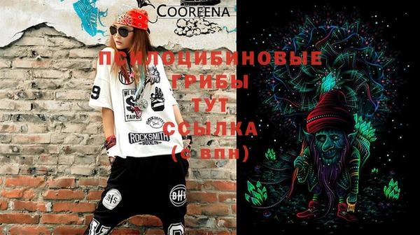 скорость Алексин