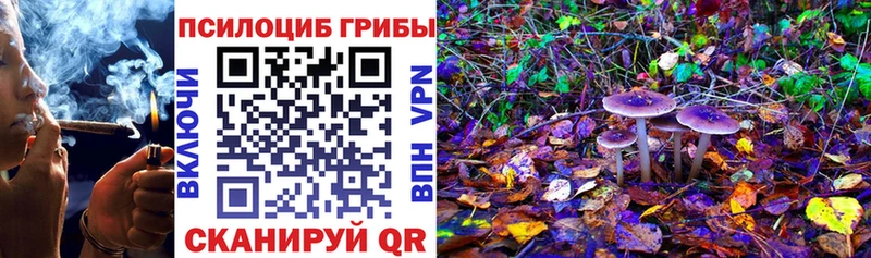 МЕГА tor  Удомля  Галлюциногенные грибы Cubensis 